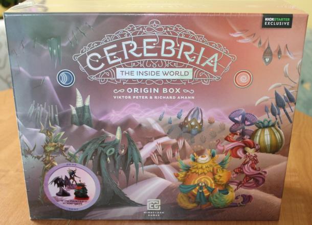 Cerebria: The Inside World